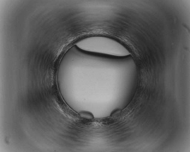 X0000100980496200806241152