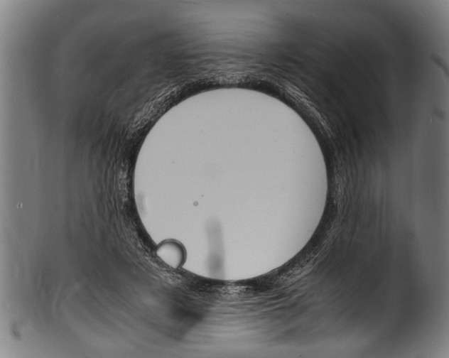 X0000100980497200806241152