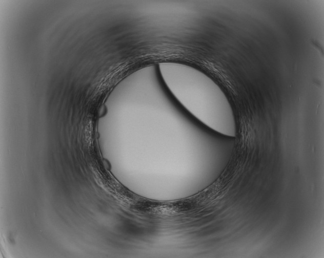 X0000100980498200806241152