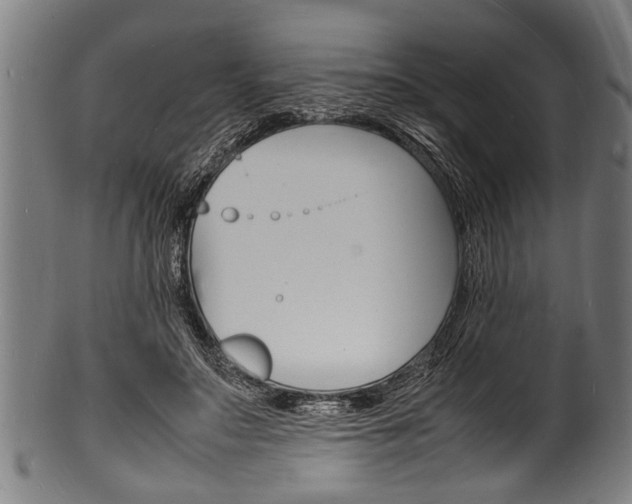 X0000100980499200806241152