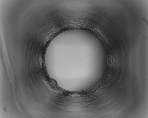 X0000100980500200806241152