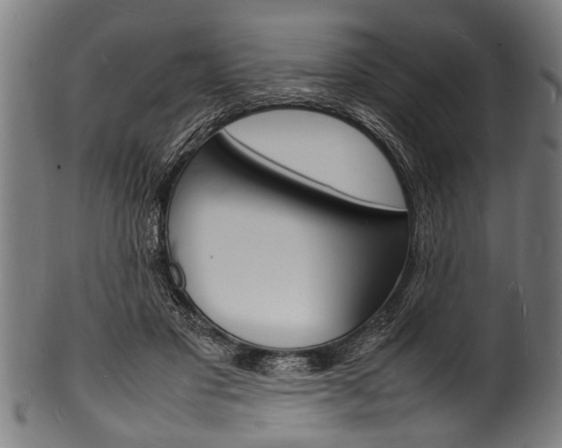 X0000100980501200806241152
