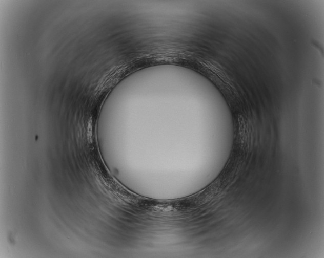 X0000100980502200806241152