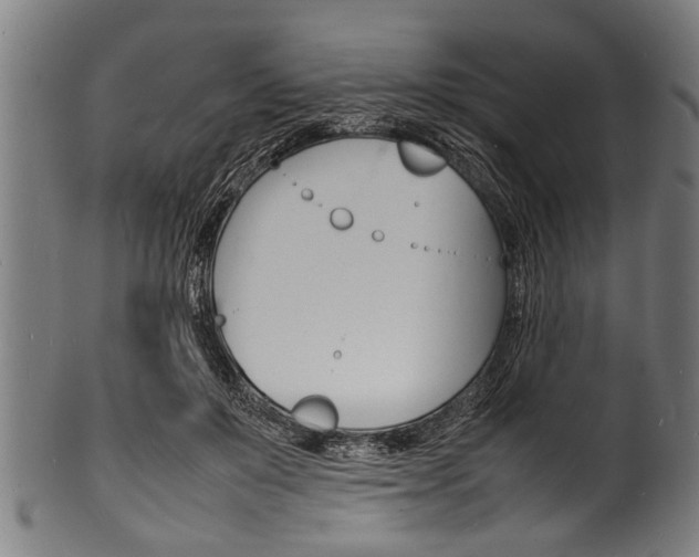 X0000100980503200806241151
