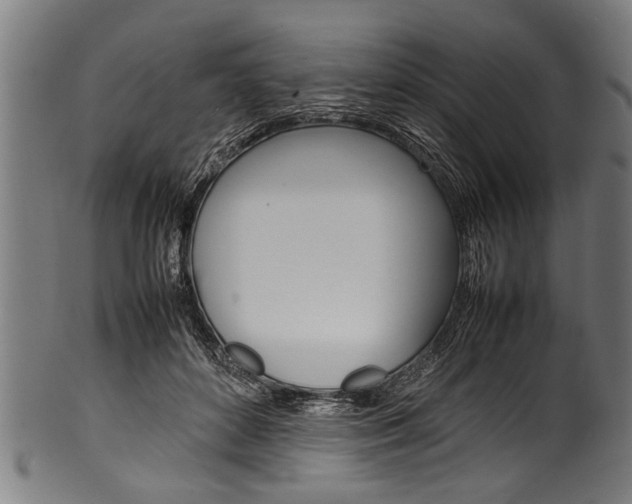 X0000100980504200806241151