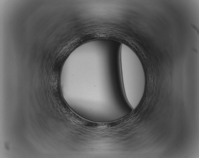 X0000100980505200806241151