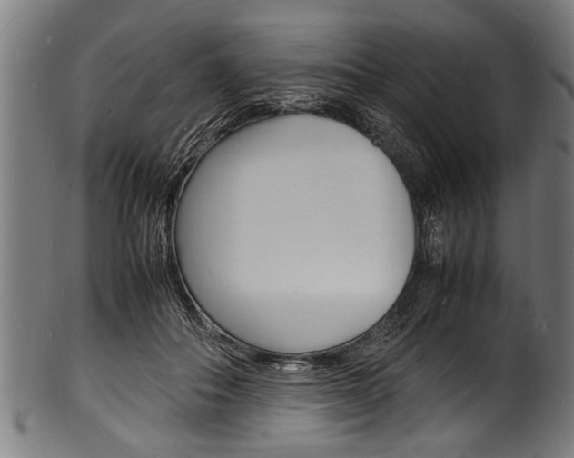 X0000100980506200806241151