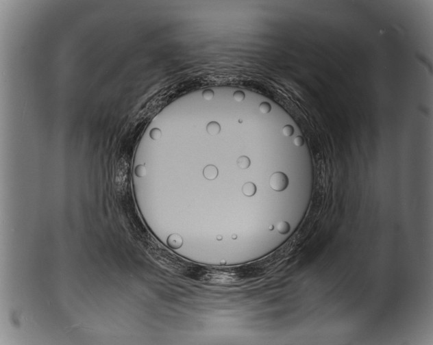 X0000100980507200806241151