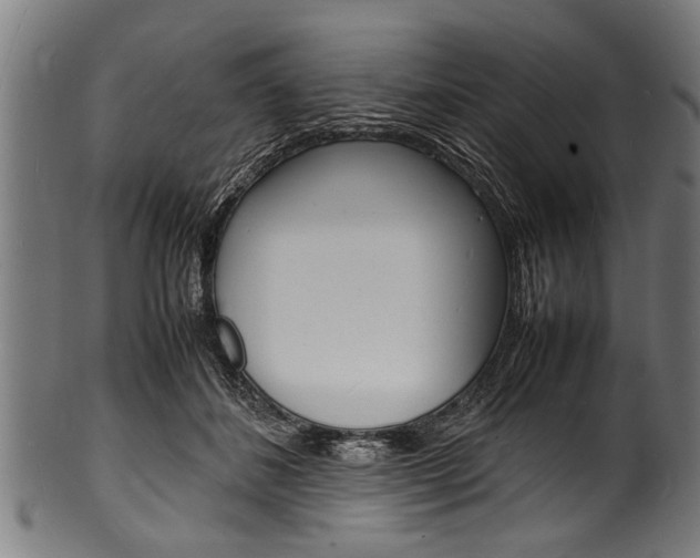 X0000100980508200806241151