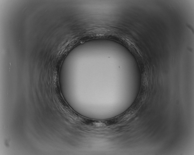 X0000100980509200806241151