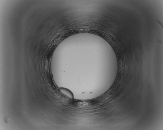 X0000100980511200806241151