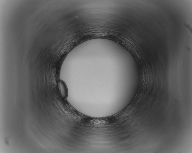 X0000100980512200806241151