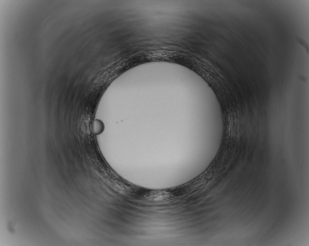 X0000100980514200806241151