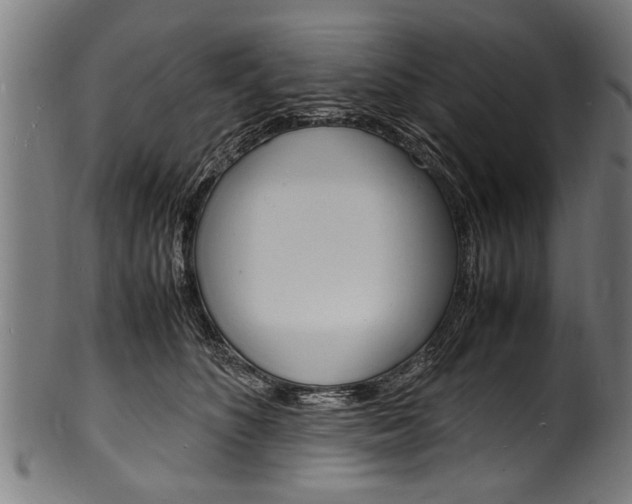 X0000100980516200806241151