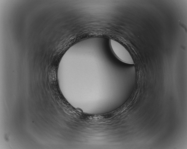X0000100980517200806241151