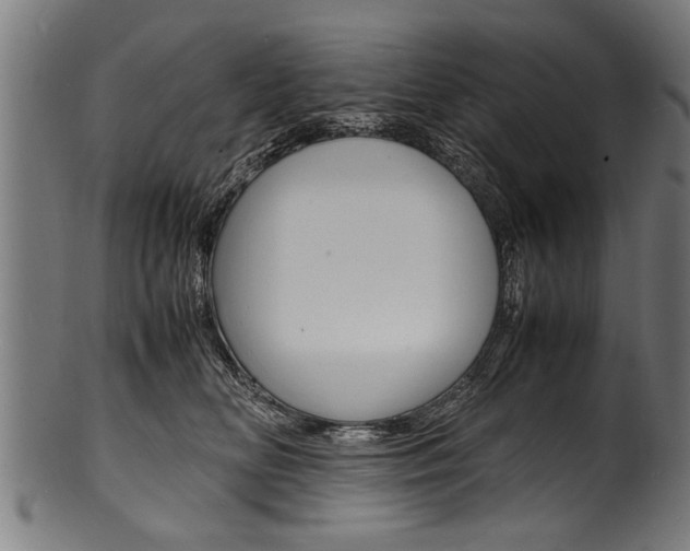 X0000100980518200806241151