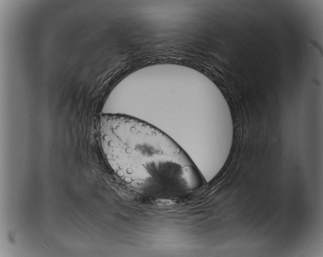 X0000100980519200806241151
