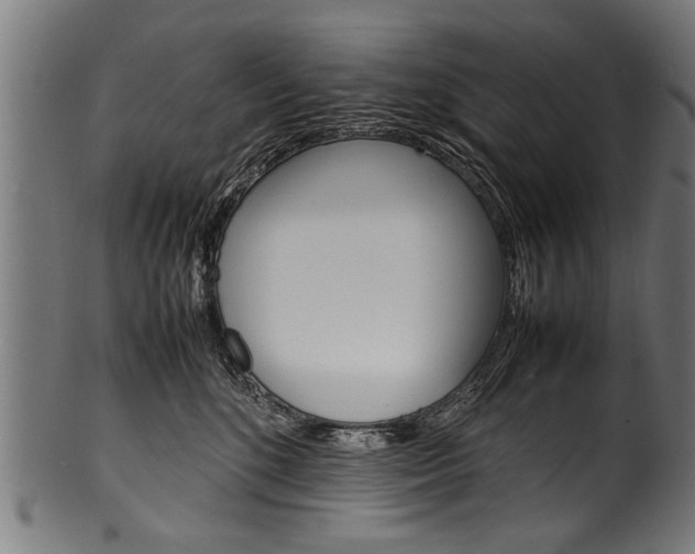 X0000100980520200806241151