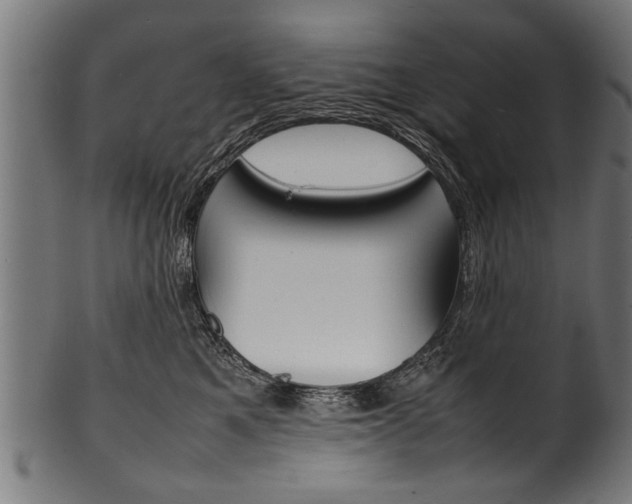 X0000100980521200806241151