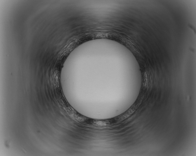 X0000100980522200806241151