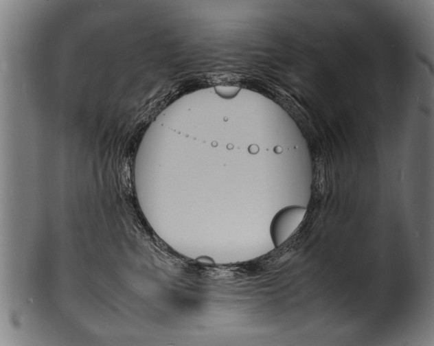 X0000100980523200806241151