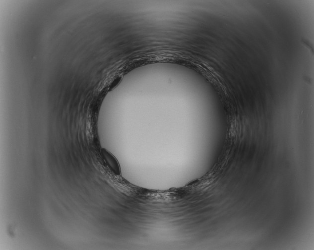 X0000100980524200806241151