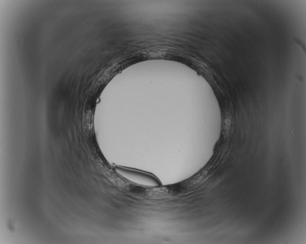X0000100980525200806241151