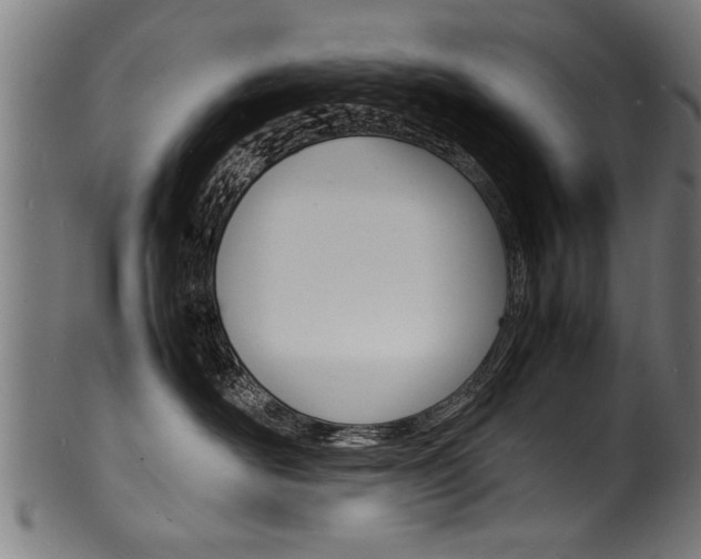 X0000100980526200806241151