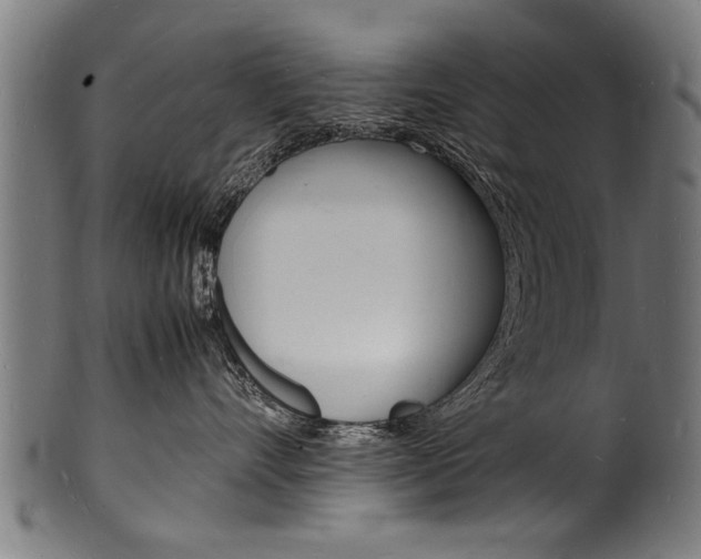 X0000100980528200806241151