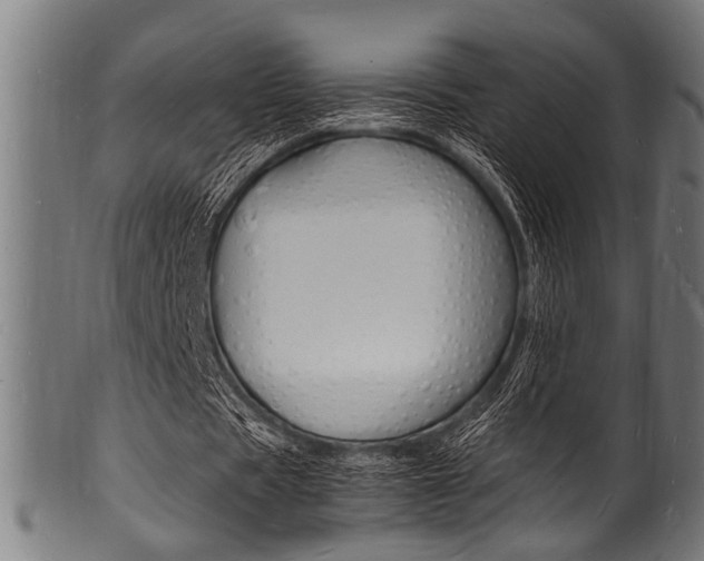 X0000100980529200806241150