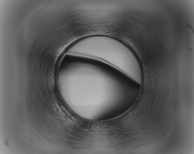 X0000100980532200806241150