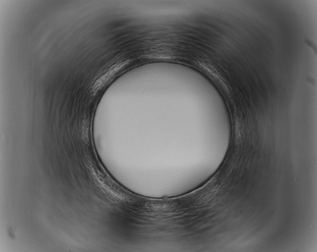 X0000100980533200806241150
