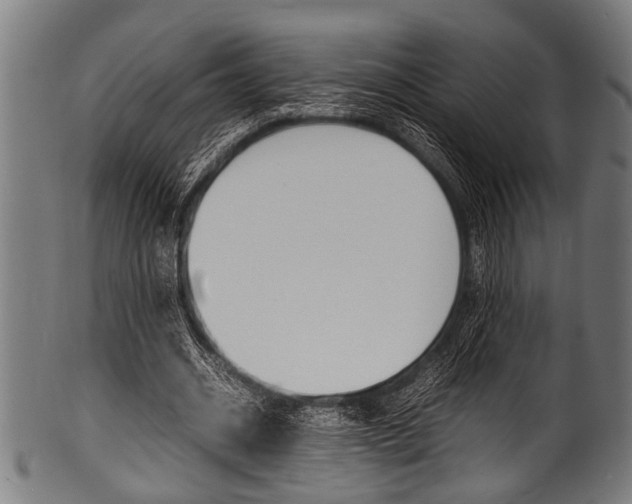 X0000100980534200806241150