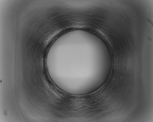 X0000100980535200806241150