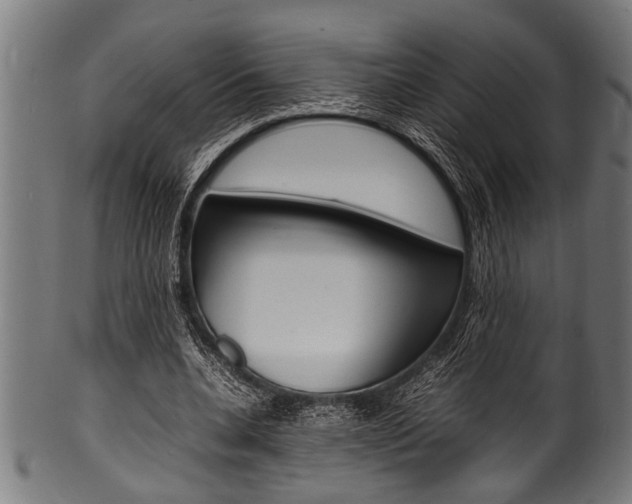 X0000100980536200806241150