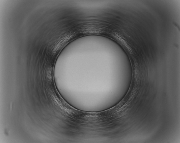 X0000100980537200806241150