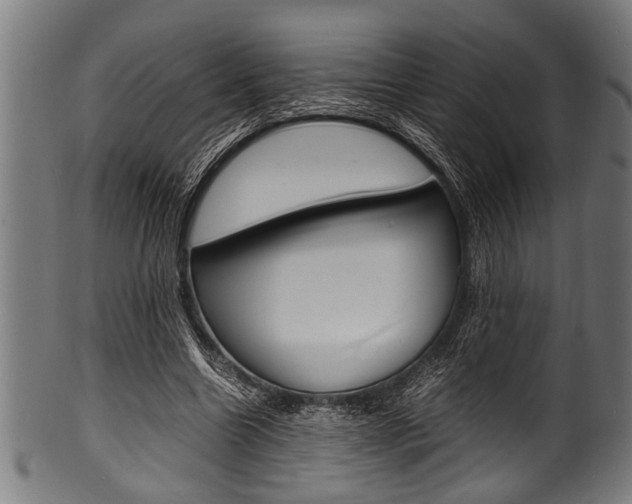 X0000100980538200806241150