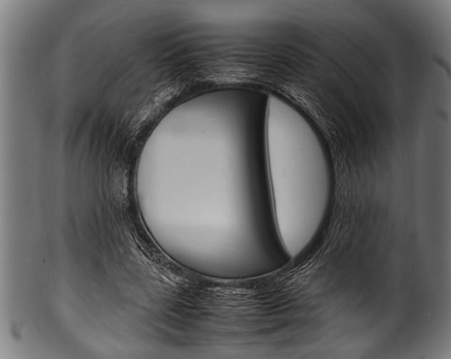 X0000100980539200806241150