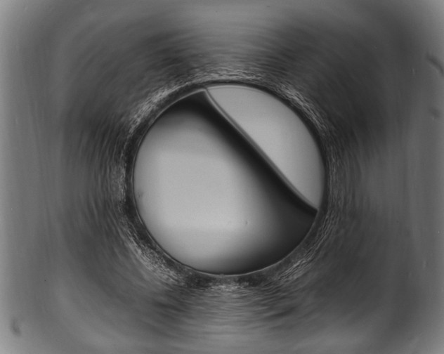 X0000100980540200806241150