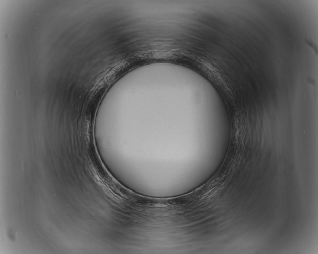 X0000100980542200806241150