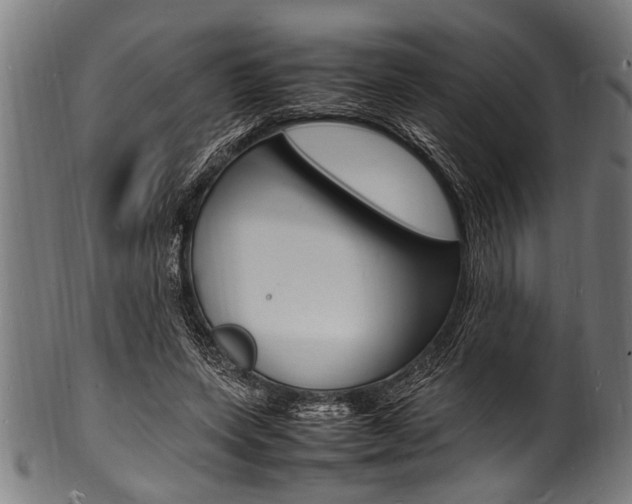X0000100980543200806241151