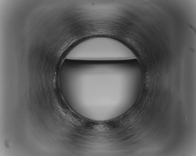 X0000100980544200806241151