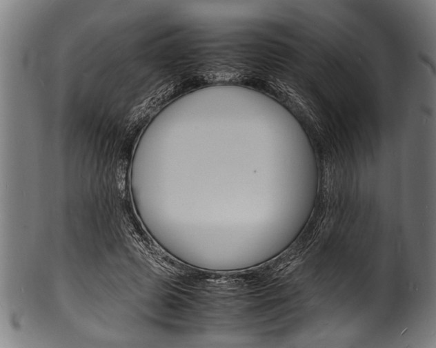 X0000100980545200806241151