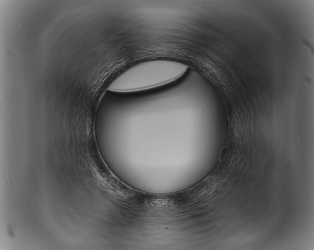 X0000100980546200806241151