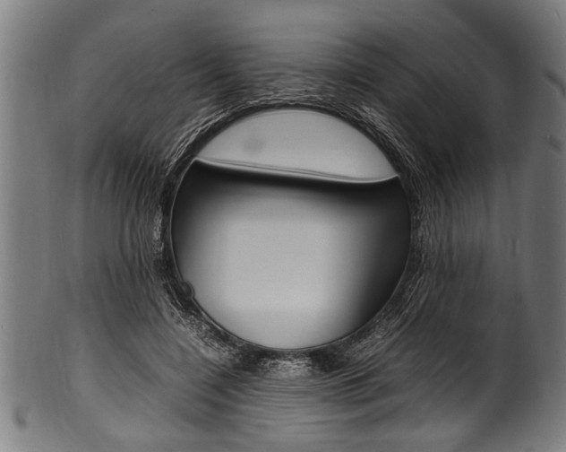 X0000100980548200806241151