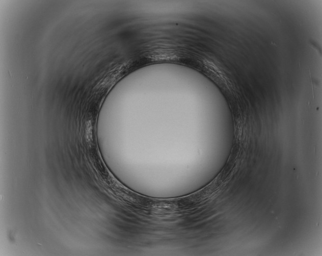X0000100980549200806241151