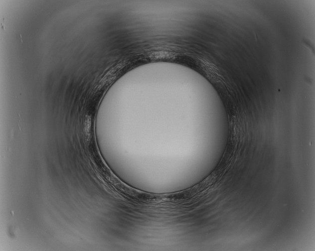 X0000100980550200806241151