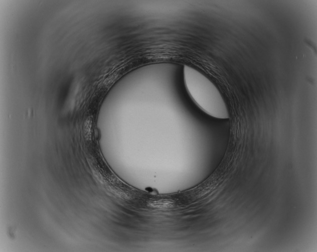 X0000100980551200806241151