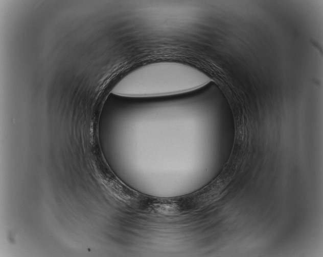 X0000100980552200806241151