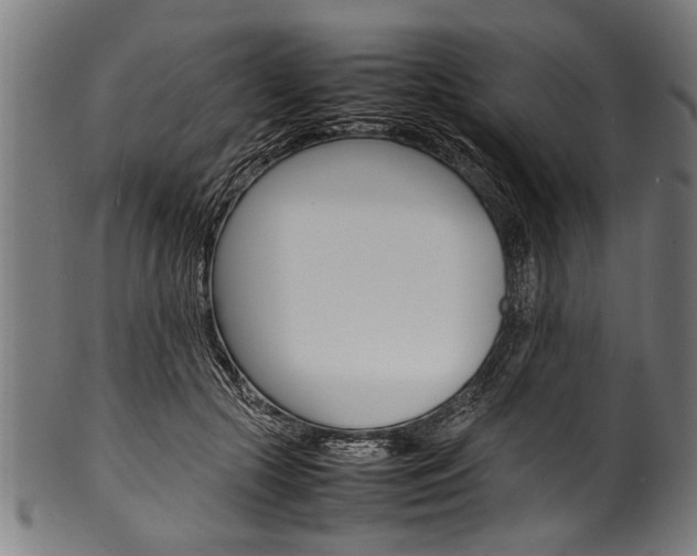 X0000100980553200806241151